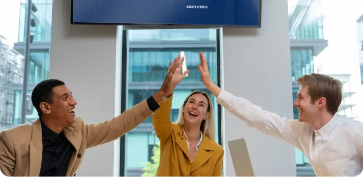 EU AI Act compliance for public-sector and large-scale IT systems